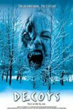 poster Soeurs de glace (Decoys)