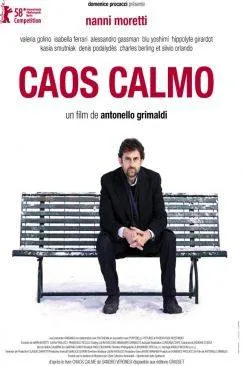 poster Caos Calmo
