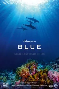 poster Blue (Dolphins)