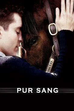 poster Pur Sang, la légende de Seabiscuit (Seabiscuit)