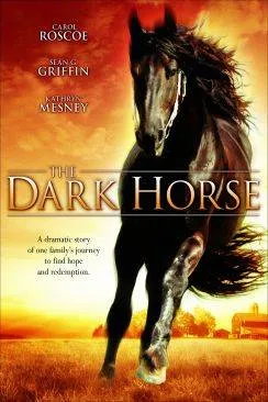 poster L'Etalon noir : Le défi de la derniaprèsre chance (The Dark Horse)