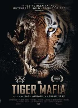 poster La mafia du tigre