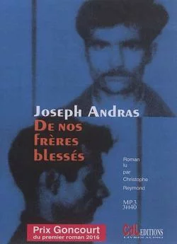 poster De nos fraprèsres blessés