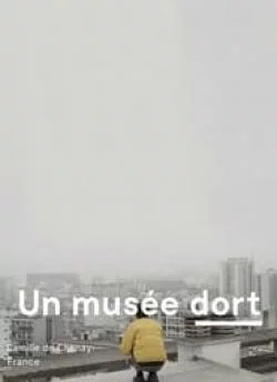 poster Un Musée dort