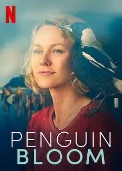 poster Penguin Bloom