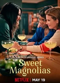poster A l'ombre des magnolias - Saison 1