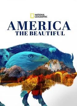 poster America the Beautiful - Saison 1
