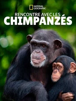 poster Rencontre avec les chimpanzés - Saison 1