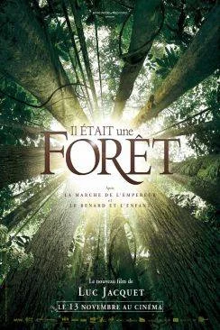 poster Il était une forêt