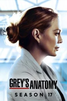 poster serie Grey's Anatomy - Saison 17