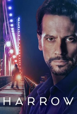 poster serie Harrow - Saison 2