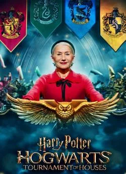 poster serie Harry Potter : Le Tournoi des quatre maisons - Saison 1