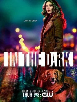 poster serie In the Dark (2019) - Saison 1