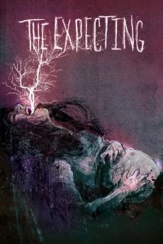 poster serie The Expecting - Saison 1